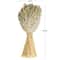 17" Beige Wheat Stalk Grass Bundle Natural Foliage